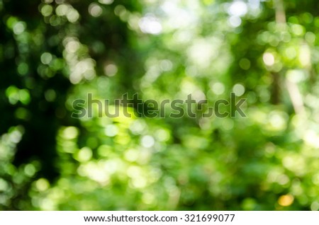 Defocus green bokeh light in nature background