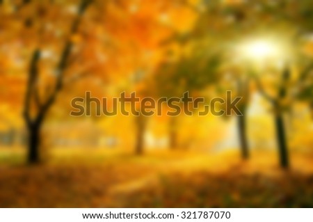 blurred colorful tree branches in sunny forest, abstract autumn natural background