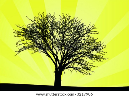 Vector tree and sun behind