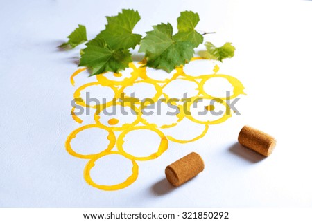 Branch of grapes painted with stains of wineglass on white paper background
