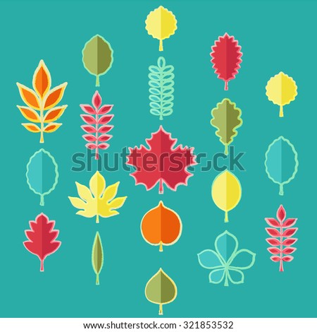 Flat vector illustration: set of nineteen bright icons of different tree leaves with colored hand drawn chalk contour in form of hexagon isolated on turquoise background