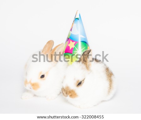 Happy birthday or festive card with two adorable rabbits