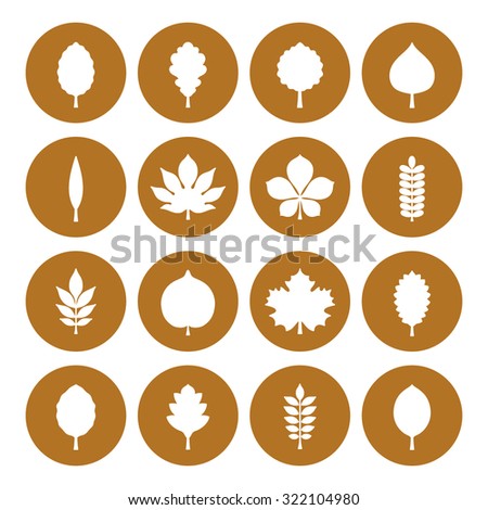 Vector illustration: set of white contours of different tree leaves icons (elm, beech, ash, linden, birch, alder, aspen, willow, maple,  poplar, rowan) in white circles isolated on black background