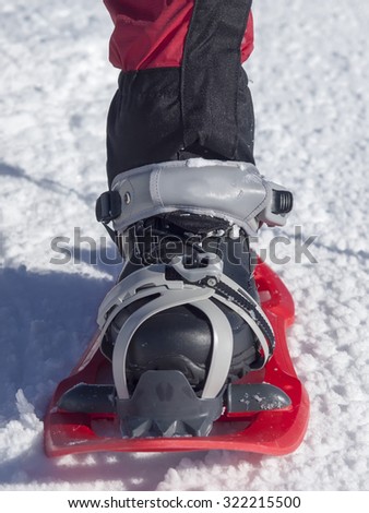 Foot in a red snowshoe.