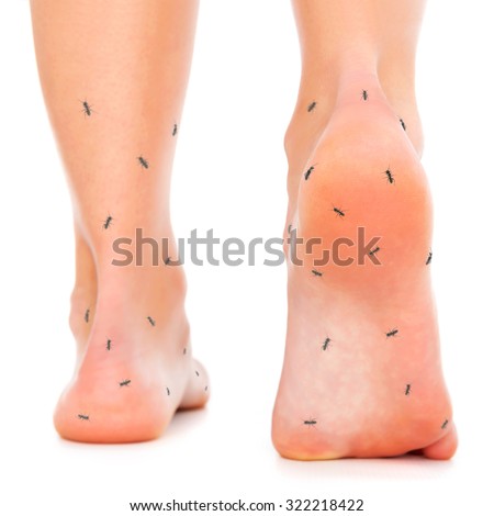 Feet with ants symbolizing numbness over isolated background.