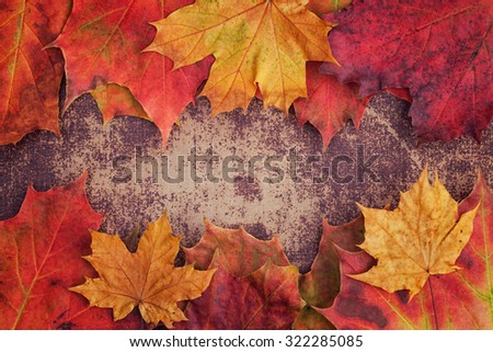 A bunch of autumn leaves on a shabby chic surface