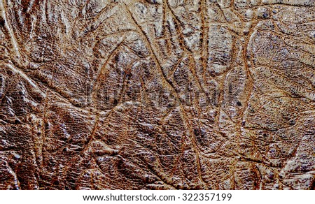 The photo shows  the original background with skin brown texture of natural skin of animal origin 
