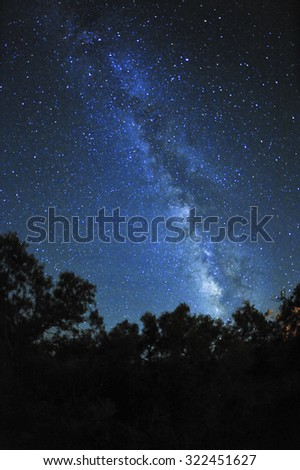 Milky way shown above and behind tree silhouettes