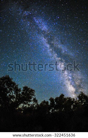 Milky way shown above and behind tree silhouettes