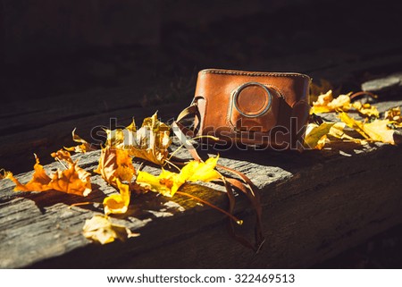 Vintage camera on wooden bench in autumn park. 