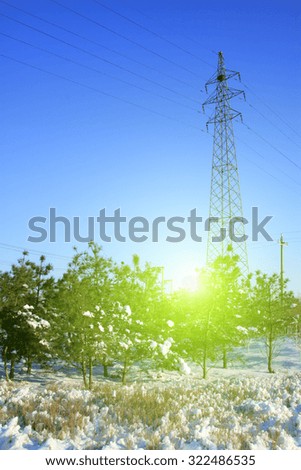Electric power tower and trees in the snow, closeup of photo