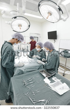group of veterinarian surgery in operation room take with selective color technique and art lighting
