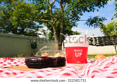 Healthy picnic for a summer vacation with freshly baked donuts,