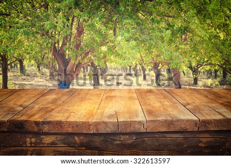wood board table in front of trees background. Ready for product display montages 