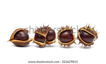 Chestnuts isolated on white background. horizontal photo.