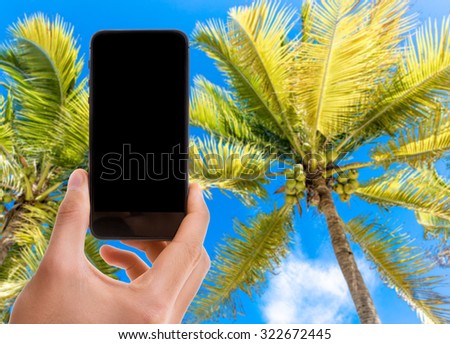 Hand holding mobile with black screen on Palm Trees background