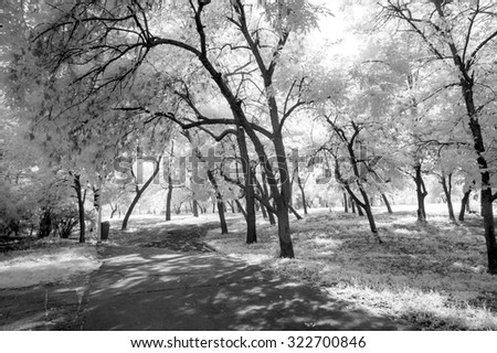 Landscape of city park, infrared photography.