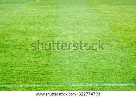 Grass of football ground with white stripe.