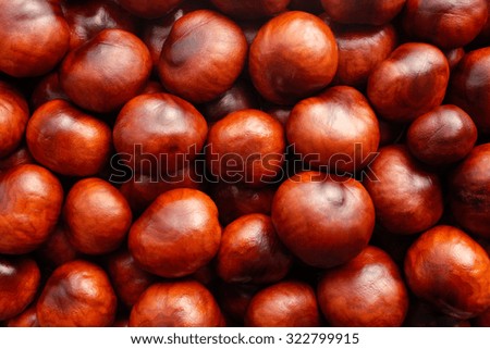 Rich brown autumn conkers from a horse chestnut tree as an abstract background texture