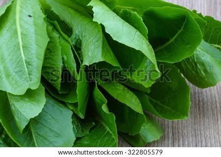 Fresh green Romano salad leaves heap on the wood background