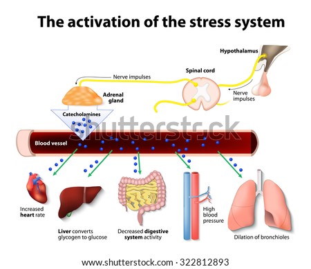 Atopic Dermatitis Cartoon Skin disease dermatitis or eczema Stock Photo 275935922 