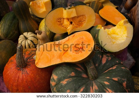 Background with colorful pumpkins of different varieties, harvest. Preparing for Halloween and Thanksgiving.