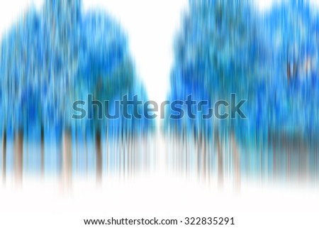 abstract colorful forest 