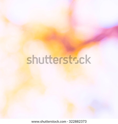 Colorful blur garden background