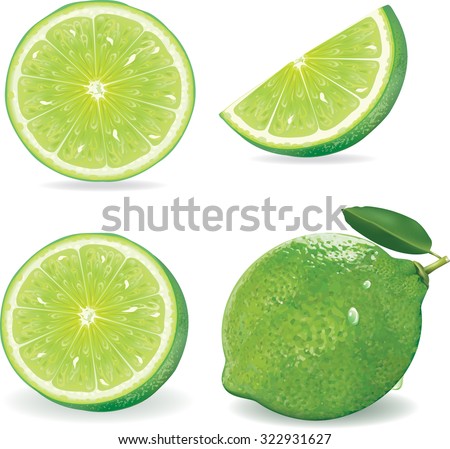 Collection Fresh lime and slice, Isolated on white background.vector Royalty-Free Stock Photo #322931627