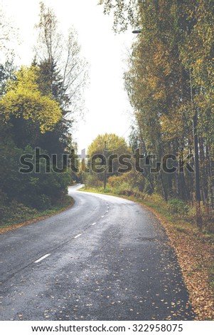 An autumn road. The road is wet after the rain and wind has blown birch leaves to the asphalt. The road is slippery. Image has a vintage effect applied.