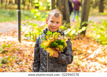 boy with autumn leaves in a park