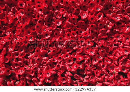 Ornamental red poppies of Remembrance for men and women who lost their loves in war.
