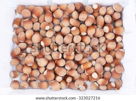 Fresh brown hazelnut as background in closeup