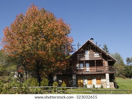 Beautiful mountain house with a colourful tree