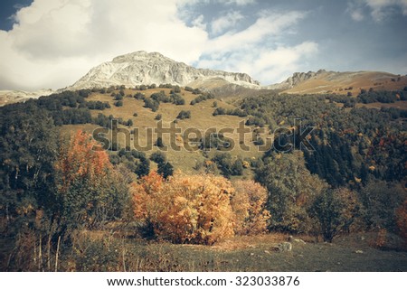The mountain autumn landscape with colorful forest and high peaks Caucasus Mountains