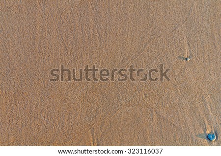 Sandy beach background, detailed sand texture, top view