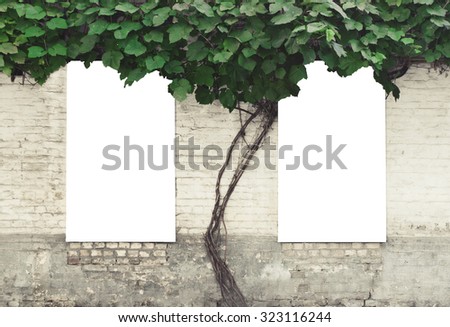 Brick wall with leaves and two isolated lightboxes posters.