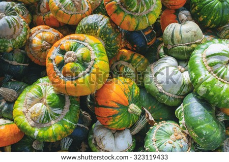 background of turks head pumpkins