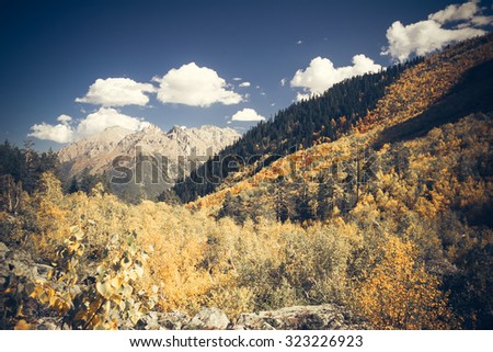 The mountain autumn landscape with colorful forest and high peaks Caucasus Mountains