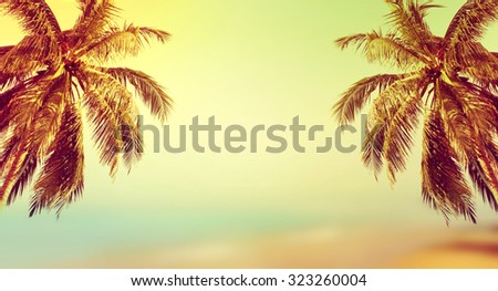 Coconut palm tree over the sunny blurry beach. Tropical beach landscape with blurry ocean, palm leaves, sunshine and sandy beach. Paradise design banner background with booked and vintage effect.