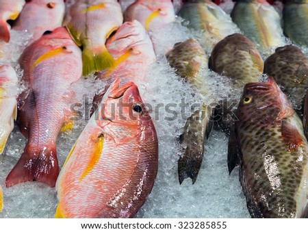 fresh cool fish ice at street market. Seafood on ice, background Sea food