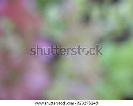 purple and green blurred background
