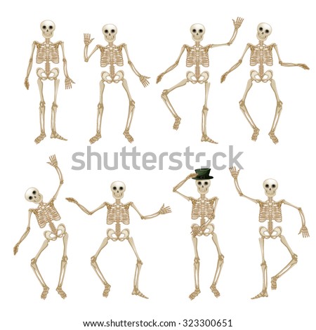 Human skeleton set