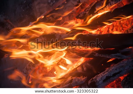 Closeup of firewood burning in fire, black background