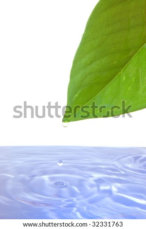 leaf and water drop showing healthy lifestyle
