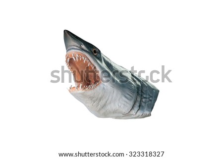 shark head model isolated on white background  with clipping path