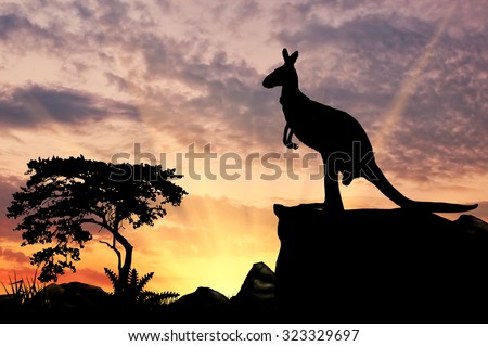 Silhouette of a kangaroo on a hill at sunset