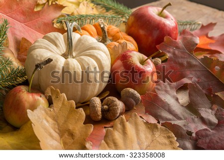 pumpkin apples and acorns with colorful leaves