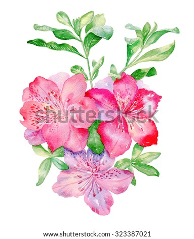Hand drawn watercolor illustration frame with Hibiscus flowers. Romantic background for web pages, wedding invitations, textile.