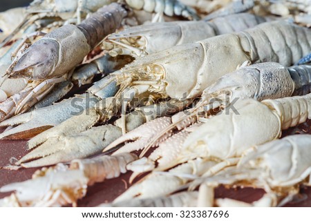 Shrimps crayfish slough off